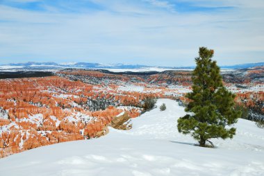 Kışın kar ile Bryce canyon.