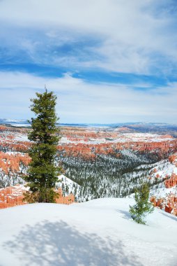 Kışın kar ile Bryce canyon.