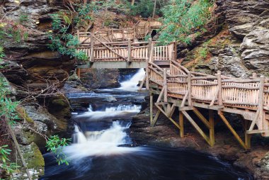 Autumn creek with hiking trails and foliage clipart