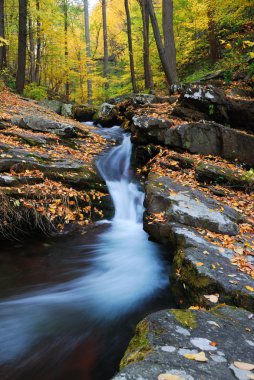 Autumn mountain creek on rocks clipart