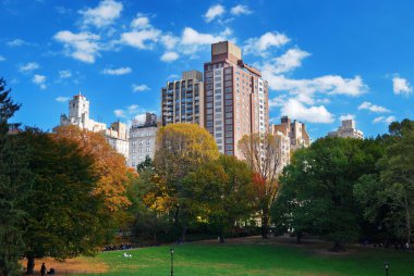 New York Şehri Manhattan Central Park