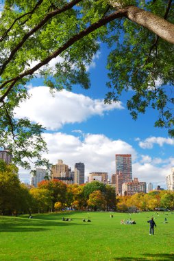 New York City Central Park clipart