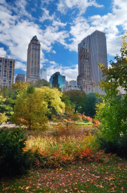 New York Şehri Manhattan Central Park