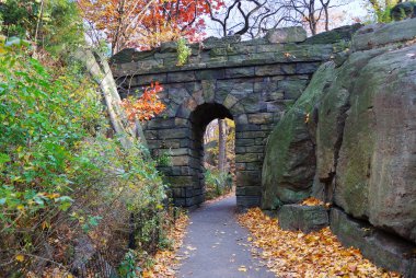 New York Şehri Manhattan Central Park