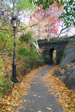 New York'taki central park taş köprü