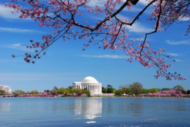 Thomas Jefferson national memorial, Washington DC clipart
