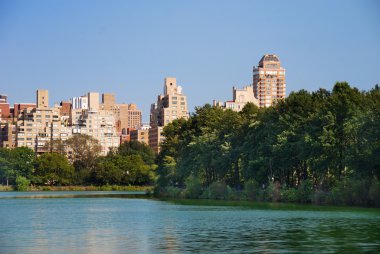 New York Şehri Manhattan Central Park