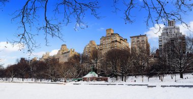 New York'un manhattan central park panorama kış
