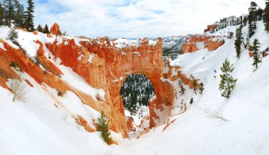 Kışın kar ile Bryce canyon.