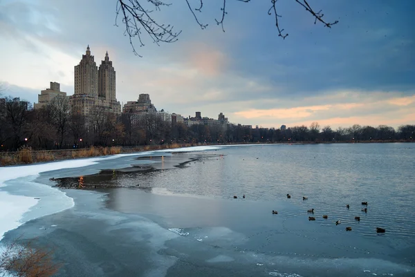 Central Park im Winter, New York City — Stockfoto