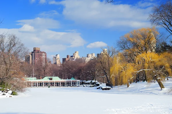 New York'un manhattan central park panorama — Stok fotoğraf
