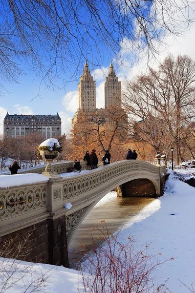 New Yorkban manhattan központi park panoráma télen — Stock Fotó