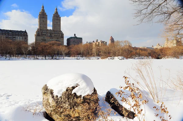 Нью-Йорк Манхеттені центральному парку в зимовий період — стокове фото