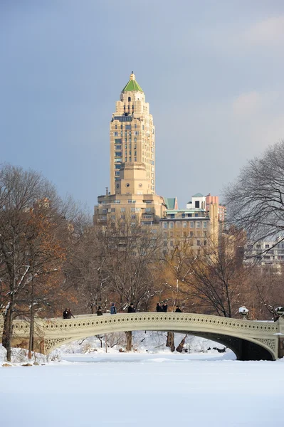 在冬天的纽约曼哈顿中央公园全景 — 图库照片