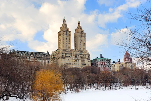 New York City Manhattan Central Park in winter — Stock Photo, Image