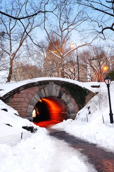 Центральный парк Манхэттена зимой — стоковое фото