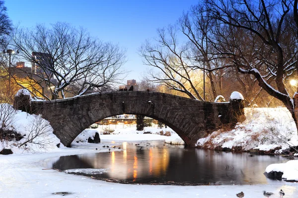 New York City Central Park Brücke im Winter — Stockfoto