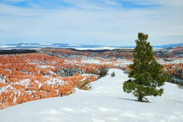 Bryce Canyon com neve no inverno . — Fotografia de Stock