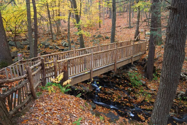 Jembatan musim gugur — Stok Foto
