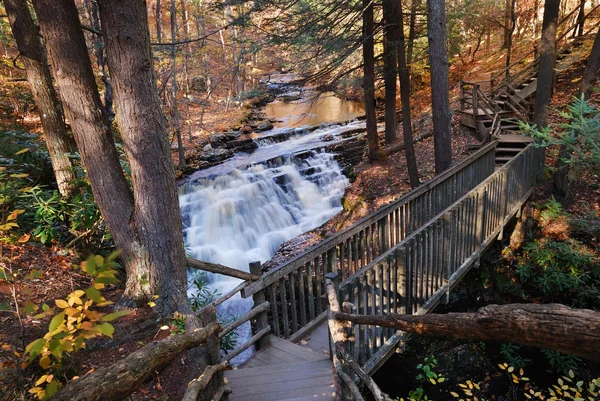 Hiking trail ile sonbahar creek — Stok fotoğraf
