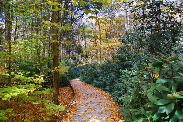 Trilha de caminhadas de outono — Fotografia de Stock