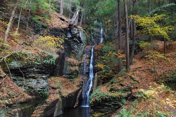 Autumn Waterfall in mountain