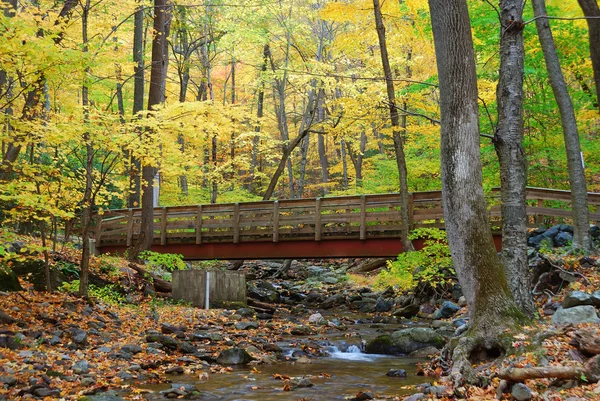 Puente de madera de otoño —  Fotos de Stock