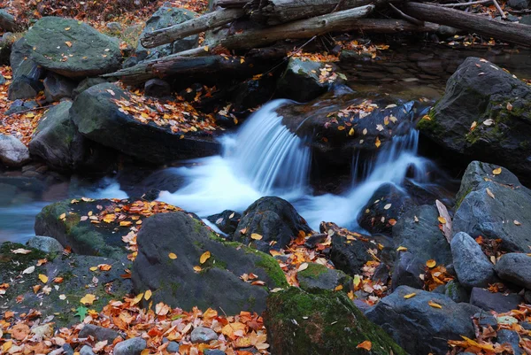 Outono riacho closeup — Fotografia de Stock