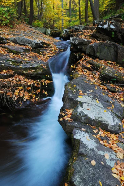 Autumn Creek — Stok Foto