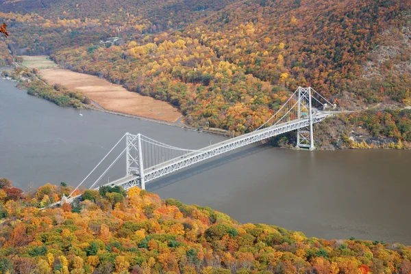 Outono Floresta de montanha com ponte — Fotografia de Stock