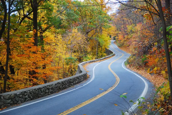 Намотанная осенняя дорога с красочной листвой — стоковое фото