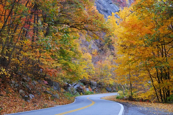 Autumn foliage road — Stock Photo, Image