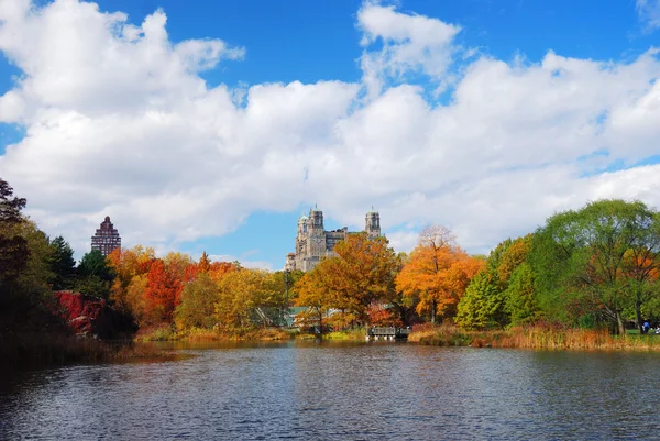 Nueva York Manhattan Central Park —  Fotos de Stock
