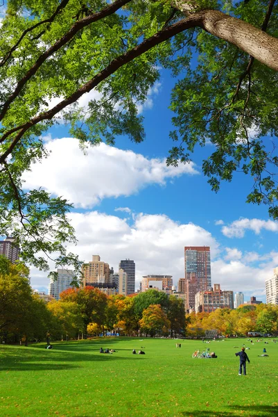 Ciudad de Nueva York Central Park —  Fotos de Stock