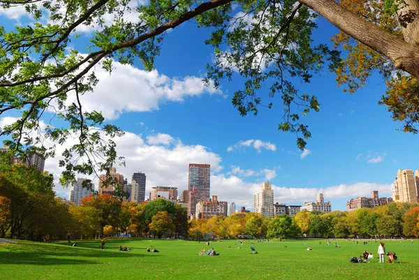 Центральный парк Нью-Йорка с облаком и голубым небом — стоковое фото
