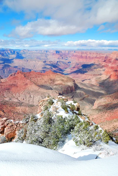 Grand canyon panoramavy i vinter med snö — Stockfoto