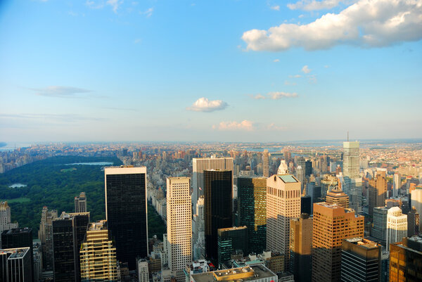 New York City skyline with central park and skyscrapers