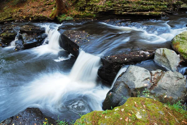 Creek över stenar — Stockfoto