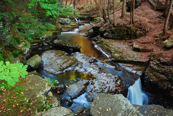 Creek di hutan — Stok Foto