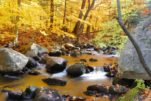 Feuillage et ruisseau d'automne — Photo