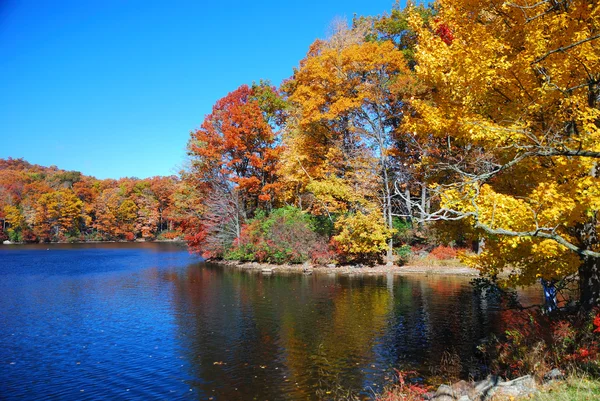 Herbstberg mit See — Stockfoto
