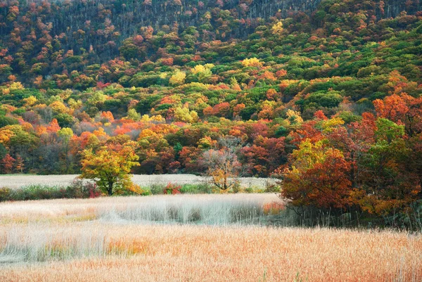 Montagne d'automne avec lac — Photo