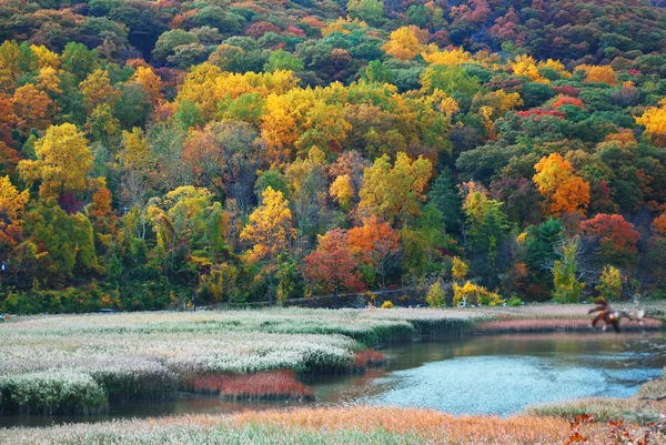 Sonbahar dağ gölü ile — Stok fotoğraf