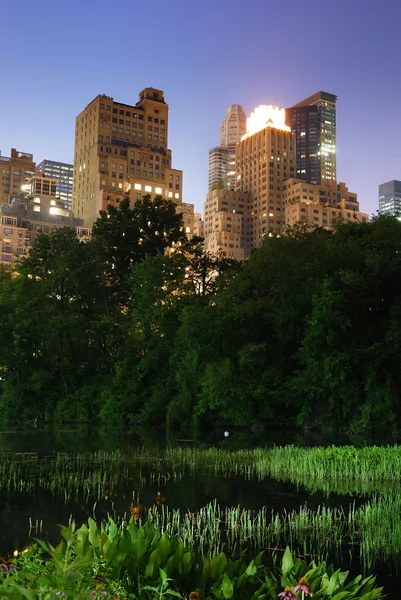 Nowy Jork Central Park — Zdjęcie stockowe