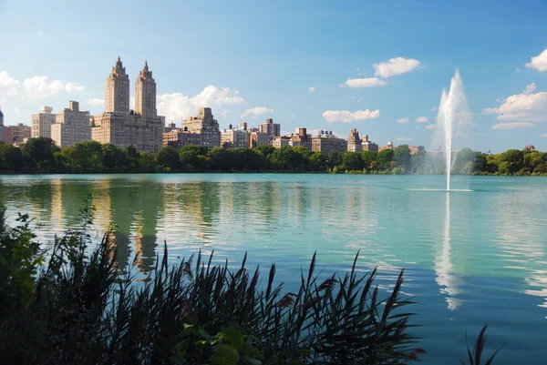Ciudad de Nueva York Central Park —  Fotos de Stock