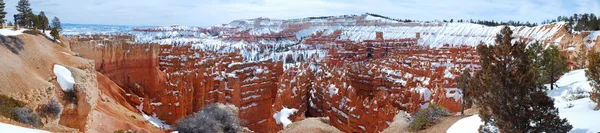 Bryce Canyon con nieve en invierno . — Foto de Stock