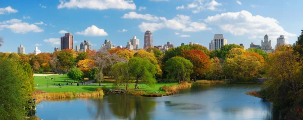 Панорама Нью-Йорка Манхеттен Центральний парк — стокове фото
