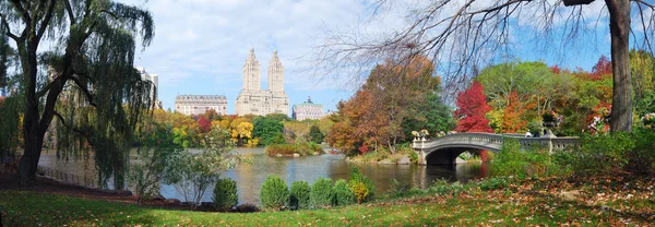 Осенняя панорама Центрального парка Нью-Йорка — стоковое фото