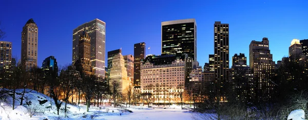 Нью-Йорк Манхэттен Центральный парк панорама зимой — стоковое фото