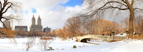 Нью-Йорк Манхэттен Центральный парк панорама зимой — стоковое фото